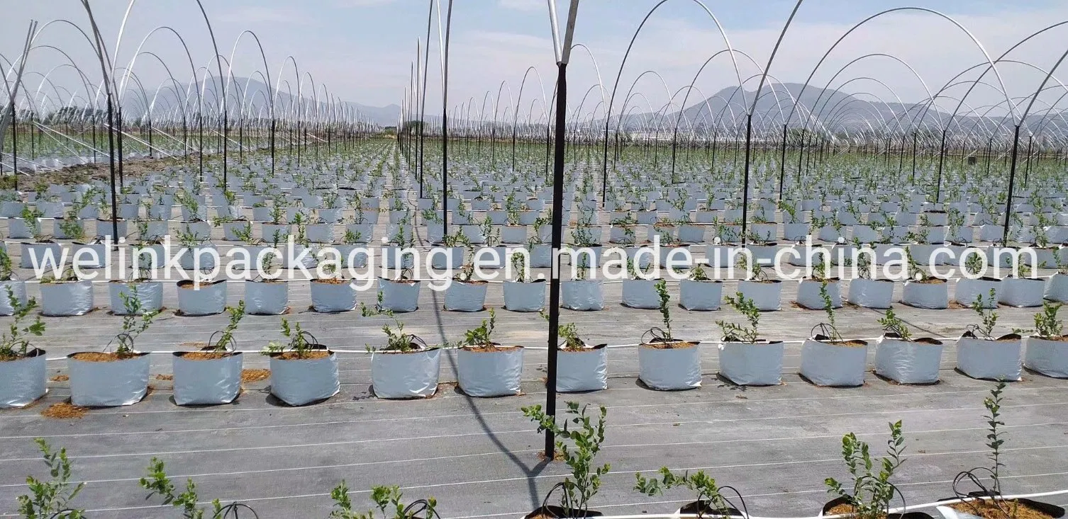 SGS Brc Certified Manufacturer Garden Farm Hydroponic UV Blocked Ground Cover Agrotextiles PP Woven Fabric Weed Control Fabric Weed Stop Fabric Weedmat