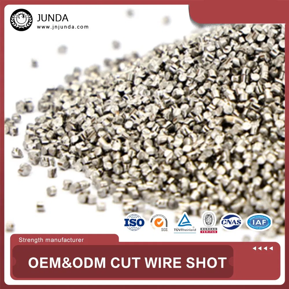 Professional Manufacture China Cast Stainless Steel Shot Cut Stainless Steel Shot
