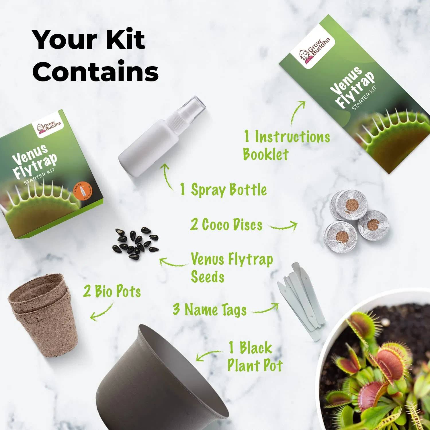 Grow Your Own Venus Flytrap Starter Kit Indoor Garden Grow Kits Venus Fly Trap Plant Seeds