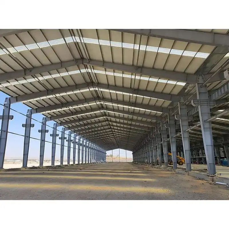 Luxury Container House All with Steel Structure Prefab House