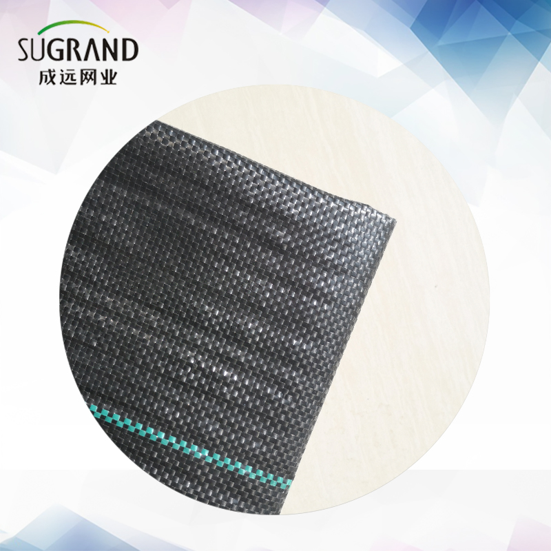 Black PP Fabric Weed Control Mat Ground Cover