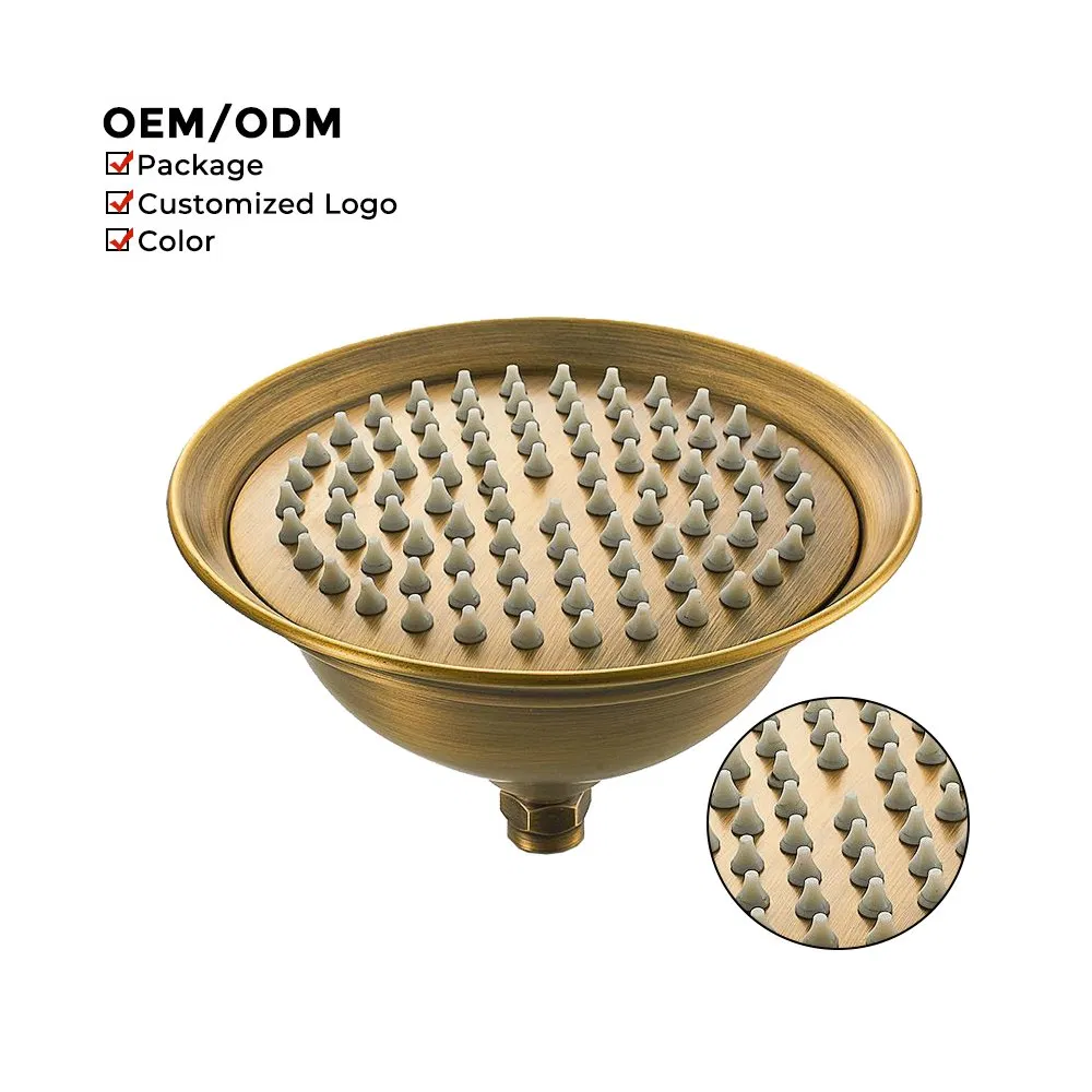 8" Top Shower S. S Antique Shower Head with Filter