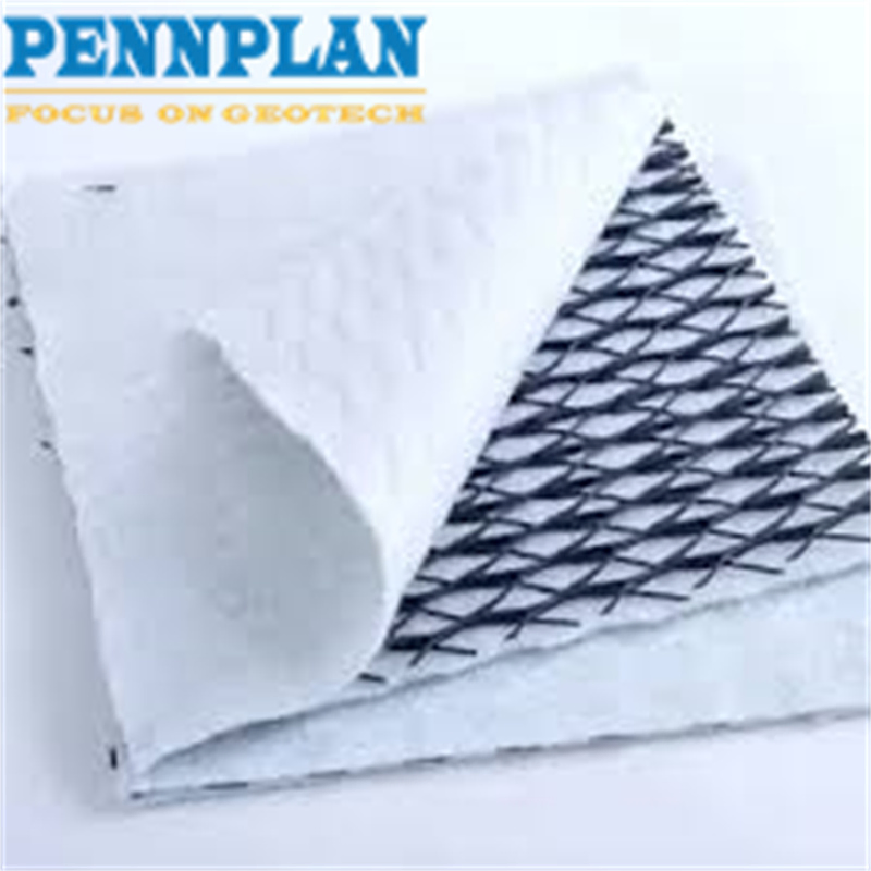HDPE 3D Geonet Geocomposite Drainage Net