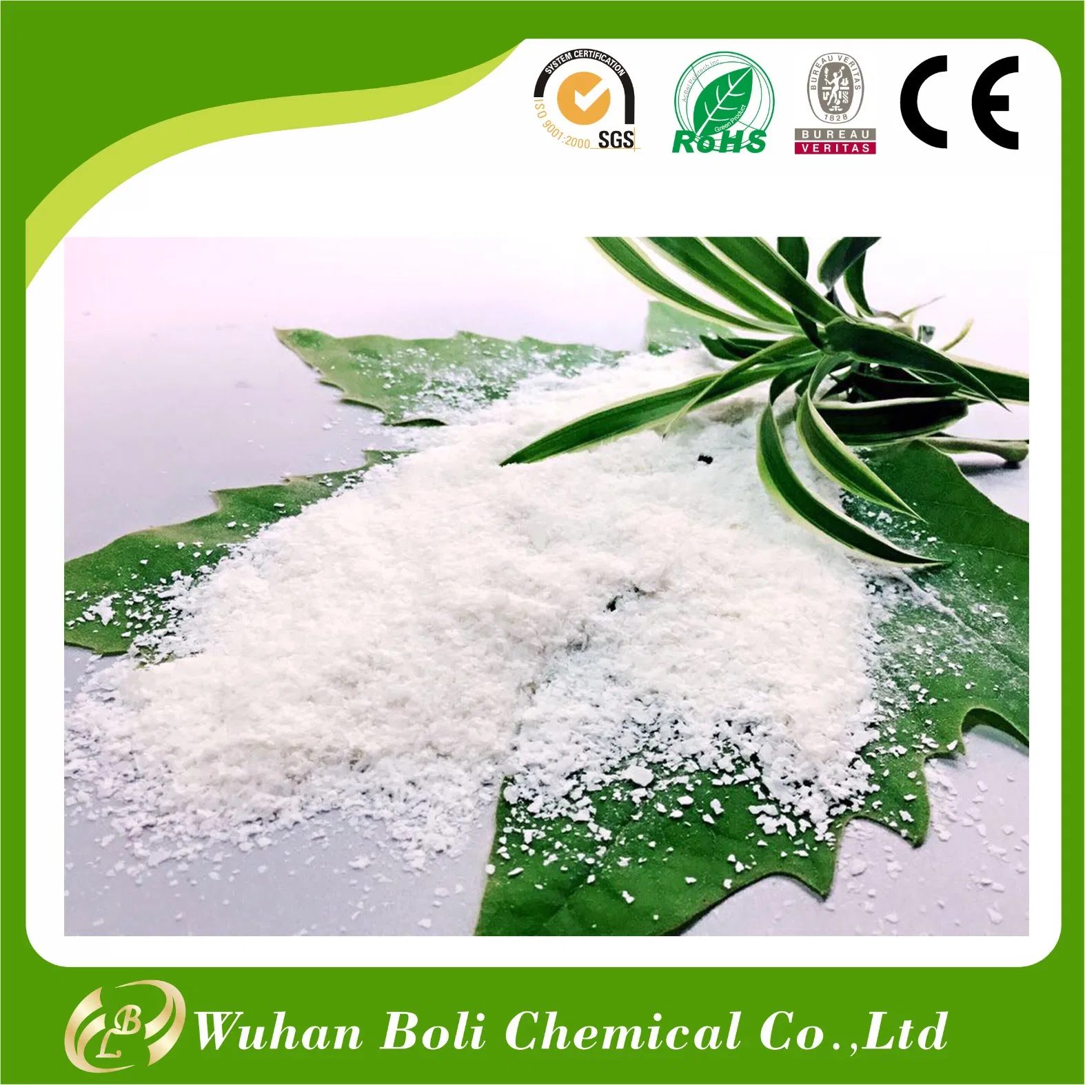 Made in China Wall Paper Glue Adhesive