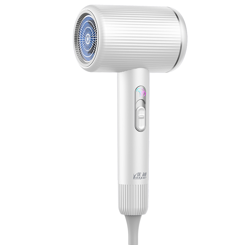 Professional Household Electric Hair Dryer with Nozzle Hairdryer
