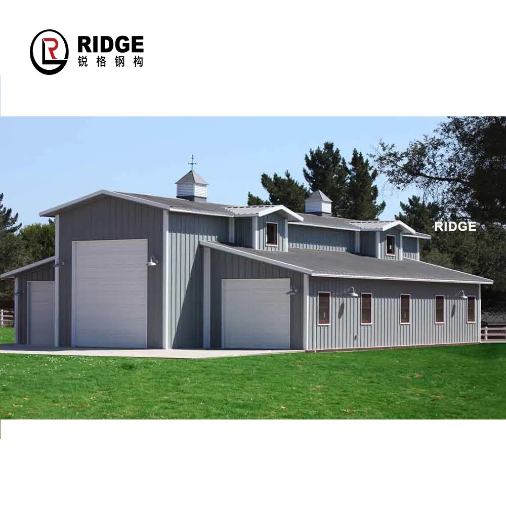 Customized Steel Structure Shed Gable Roof Garden Shed for