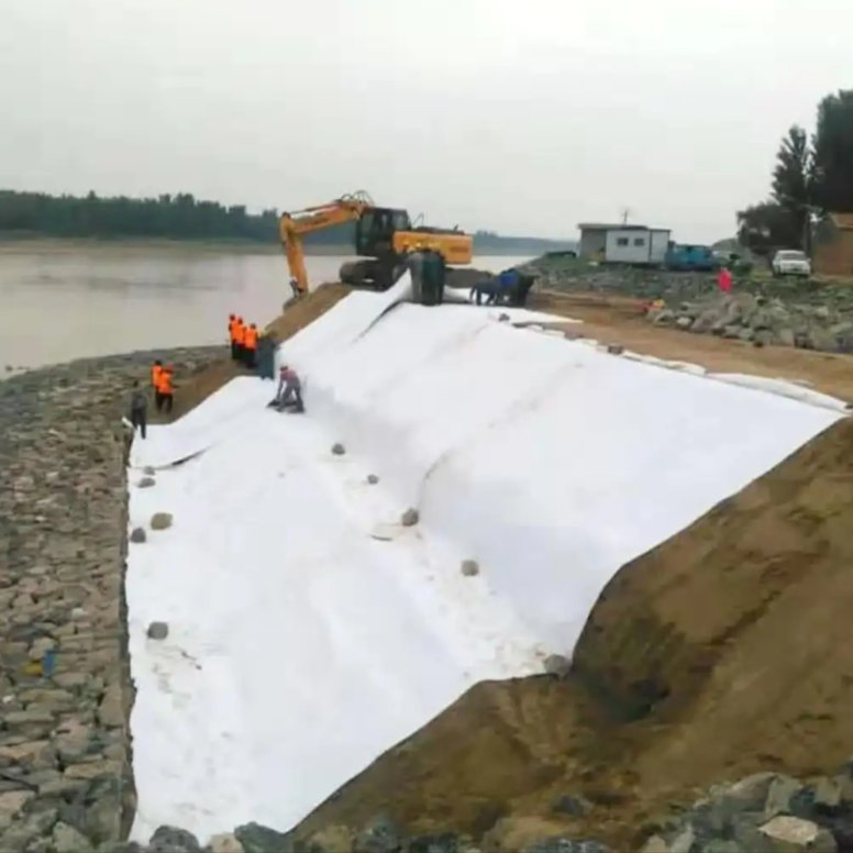 Nonwoven Geotextile Membrane PP Geotextile Price Per M2 Non Woven Geotextiles Fabric Price for Roadswork