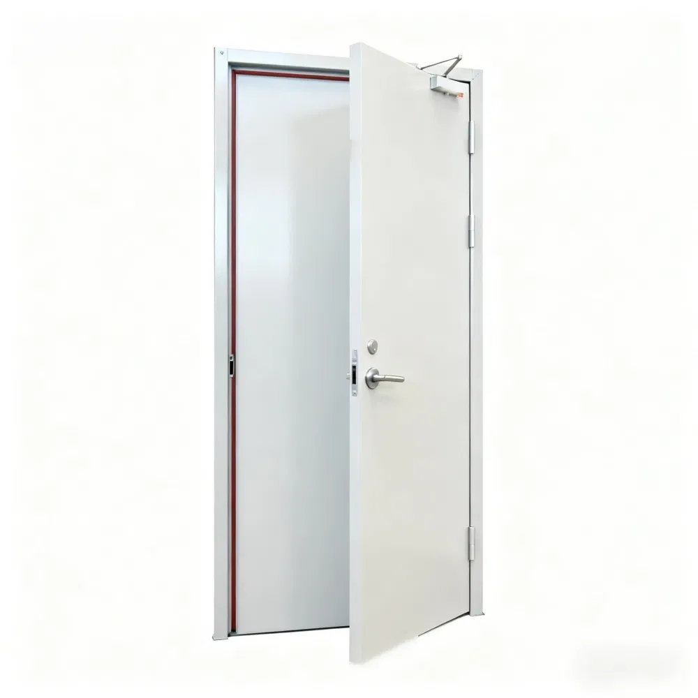Wholesale Fire Rated Soundproof Steel Door with Glass for School Hospital Hotel - China Factory