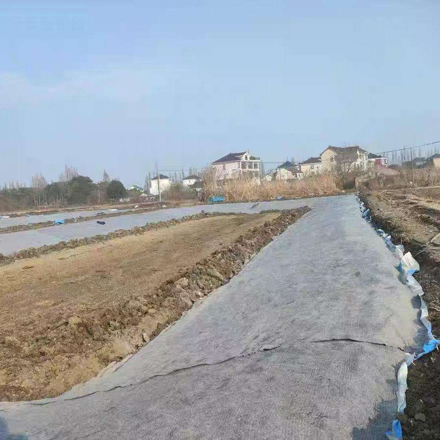 Premium Cement Blanket, 1-30m Length, 1-6m Width, Origin: Shandong