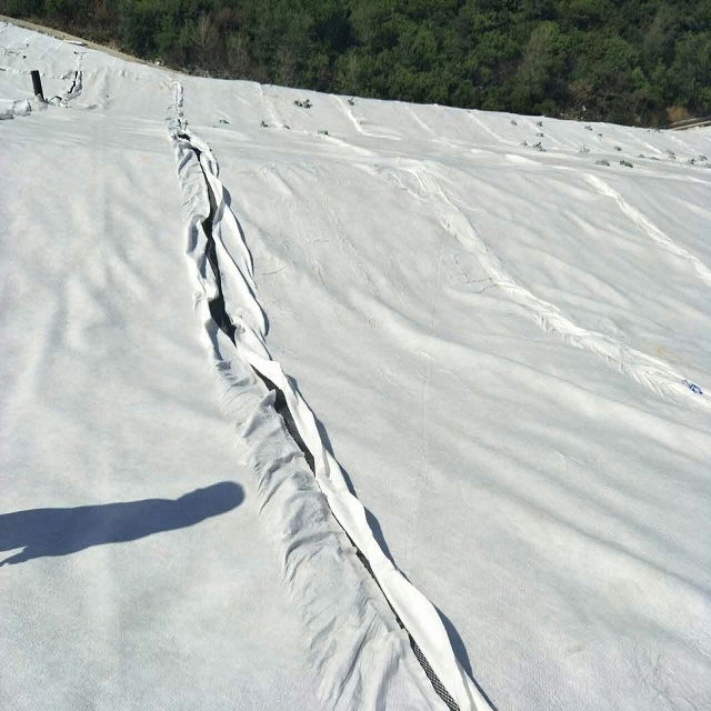 3D Composite Drainage Geonet for Landfill Proejct