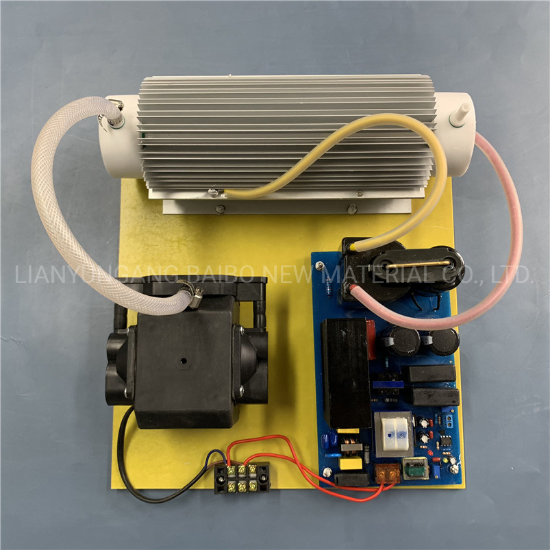 Ozone Module Water Purification Integrated 110V 10g 20g Quartz Ozone Gernerator