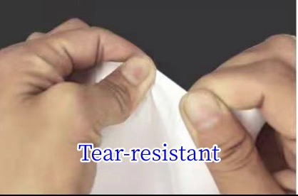 Waterproof Self-Adhesive Direct Thermal Vinyl PP Film Material
