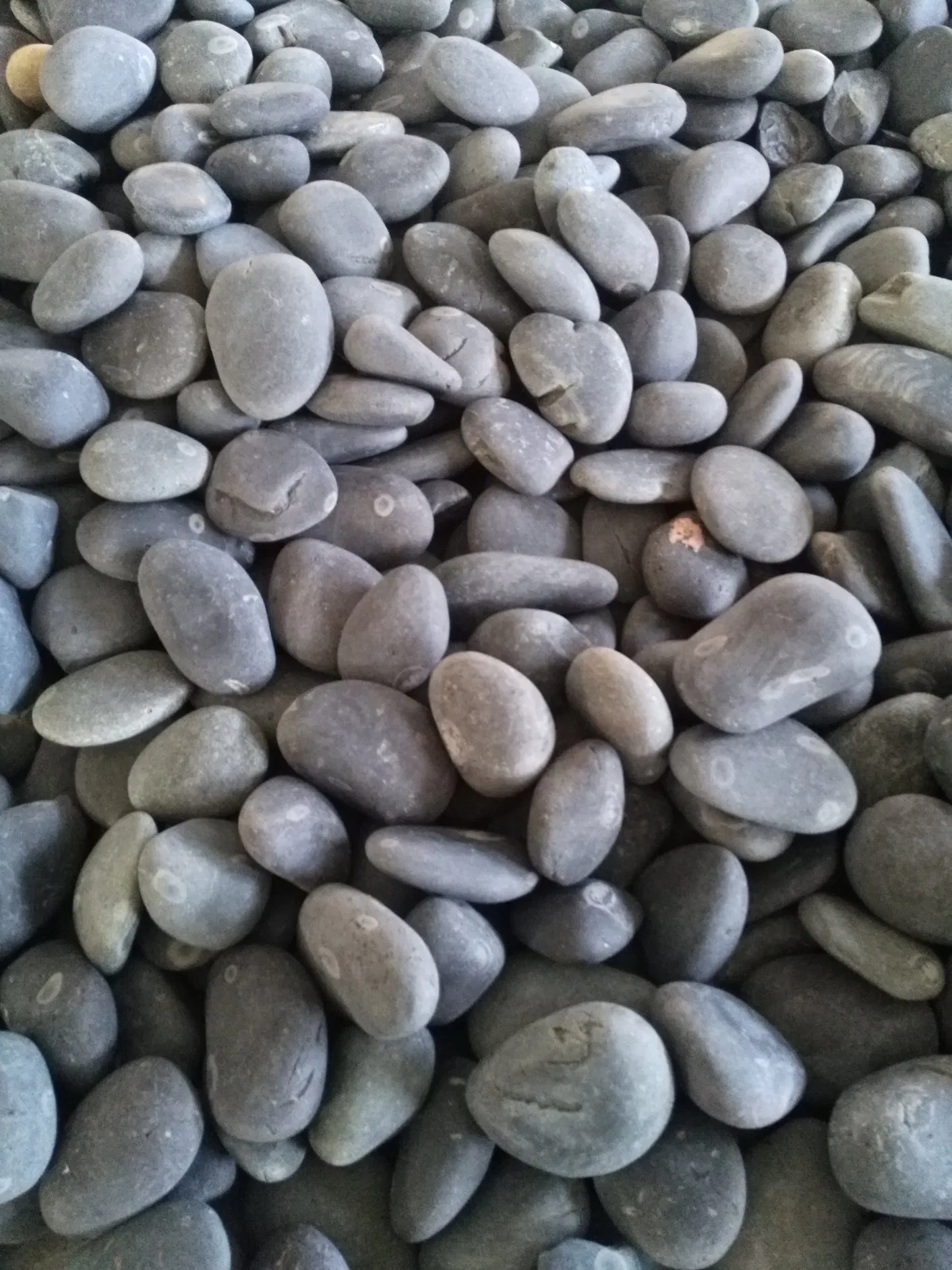 River Pebble Stone Without Polished for Garden Landscape Decoration Outdoor Project