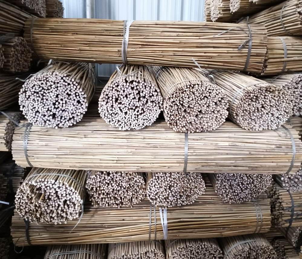 One of The Best Bamboo Poles in The World