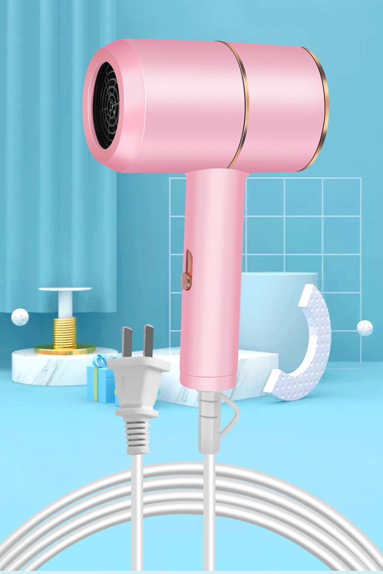 Professional Custom Luxury New Style Fashion Electric Family and Barber Use Hair Dryer