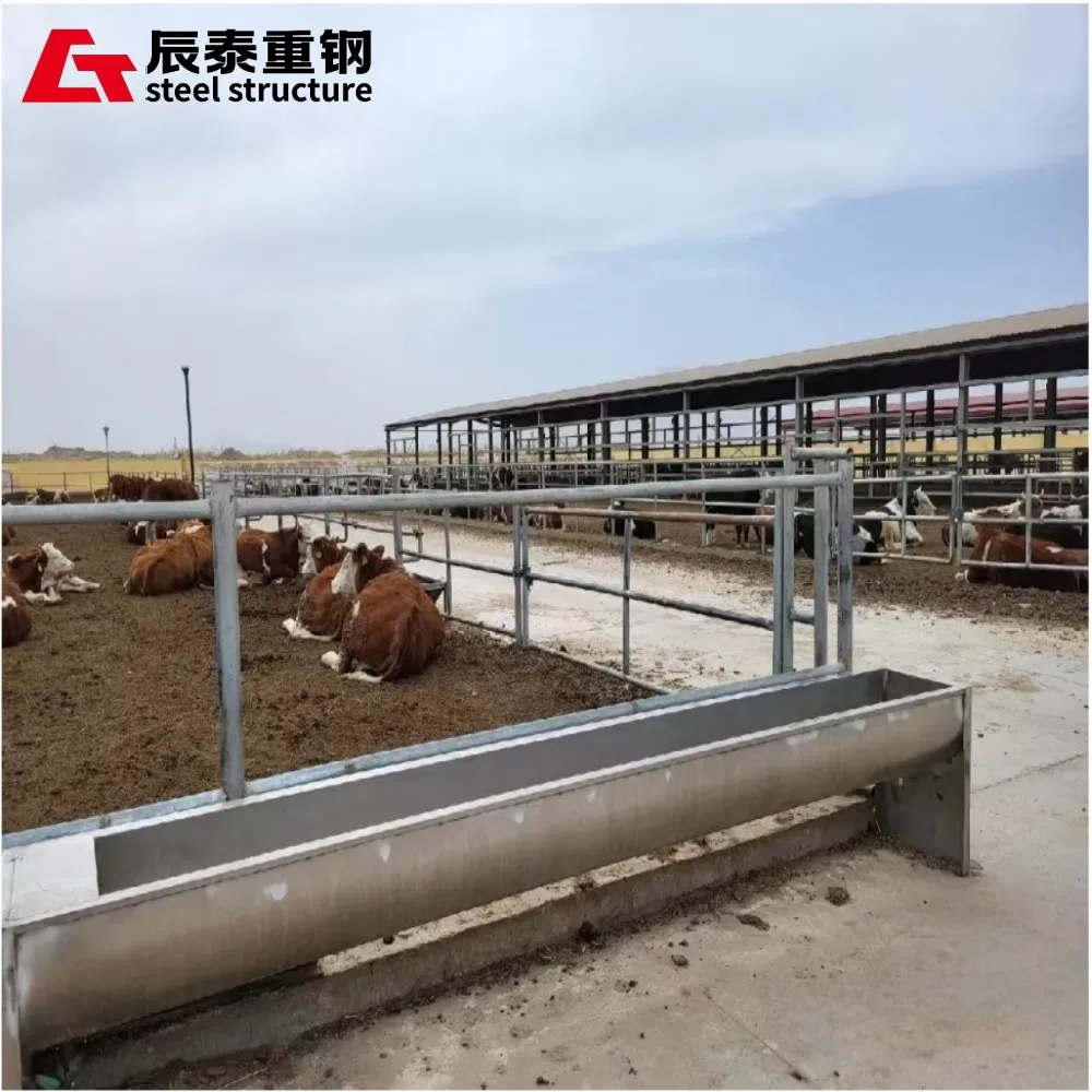 Professional Custom Long-Span Portal Steel Frame Structure Steel Structure Farm Is Used for Chicken Coop Cowshed