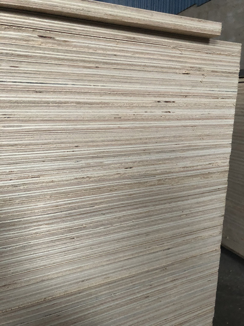 Сосновая фанера E1 18мм C/D