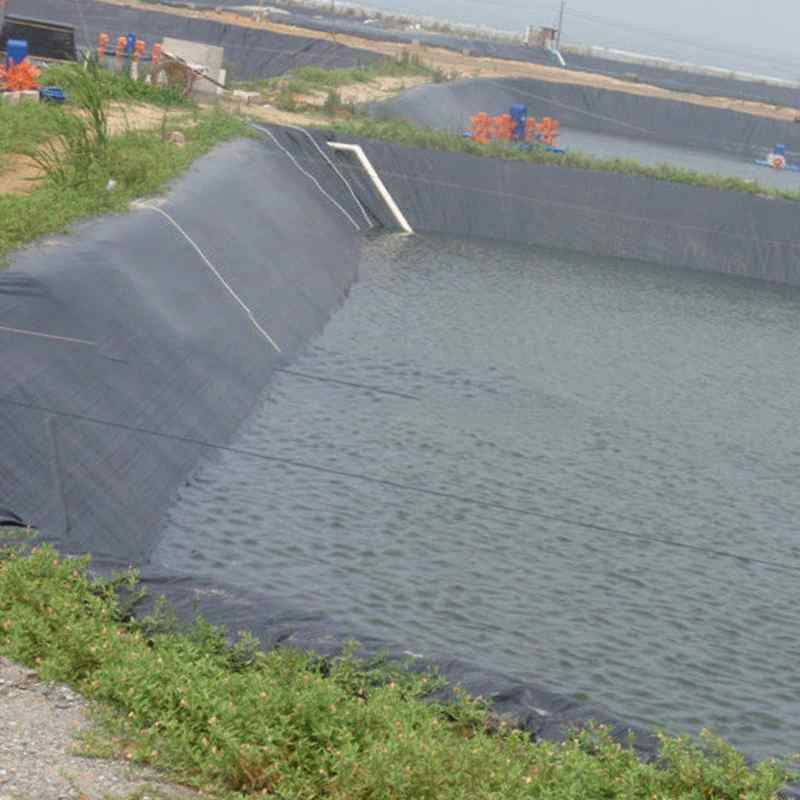 Waterproof PP Geomembrane with Excellent Corrosion Resistance in Marine Engineering
