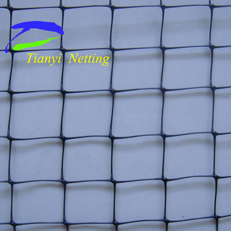 10GSM Planting Net/Plant Support Net, to Support Crops as Peas, Beans etc.