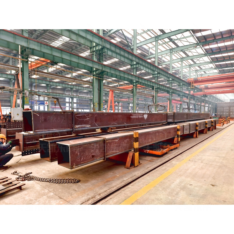 Spacious Steel Structure Building for Premium Car Showroom Display