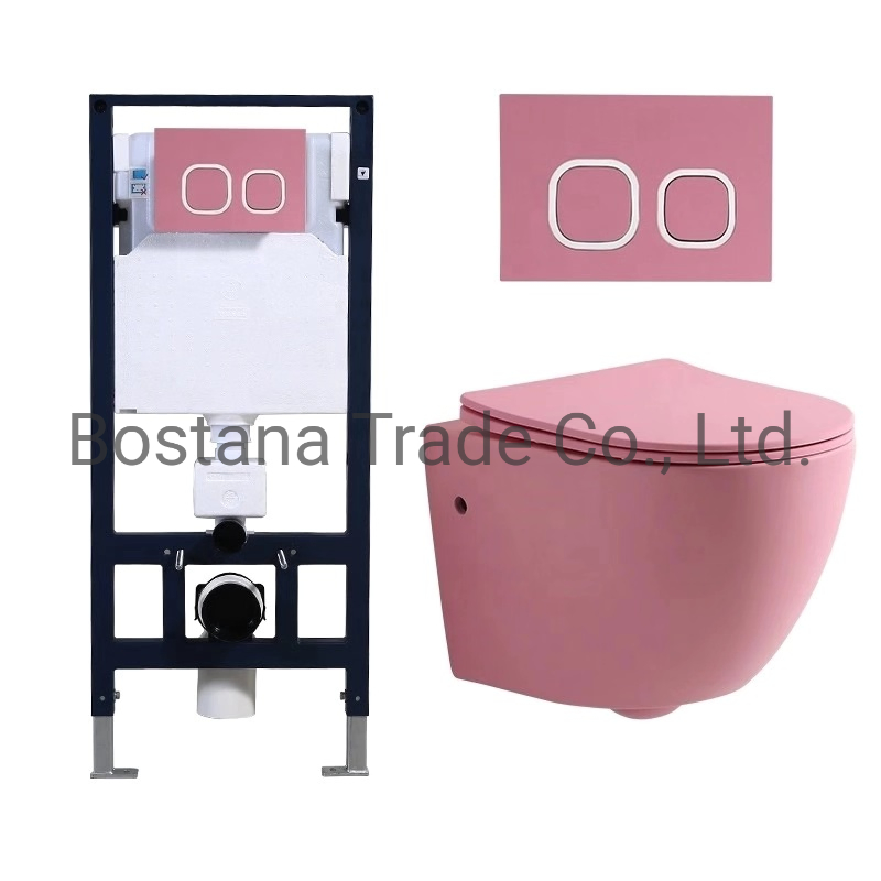 CE Wall Hung Ceramic Two Piece Bathroom P-Trap Toilet for Adult Sanitary Ware