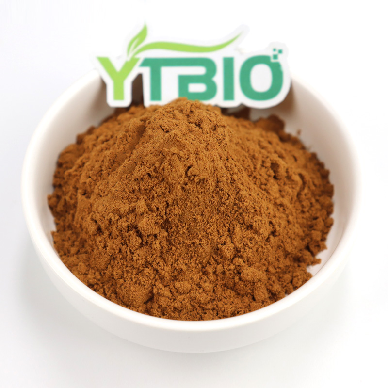 Hot Selling Cinnamon Bark Extract in Bulk Powder Cinnamon Bark Extract