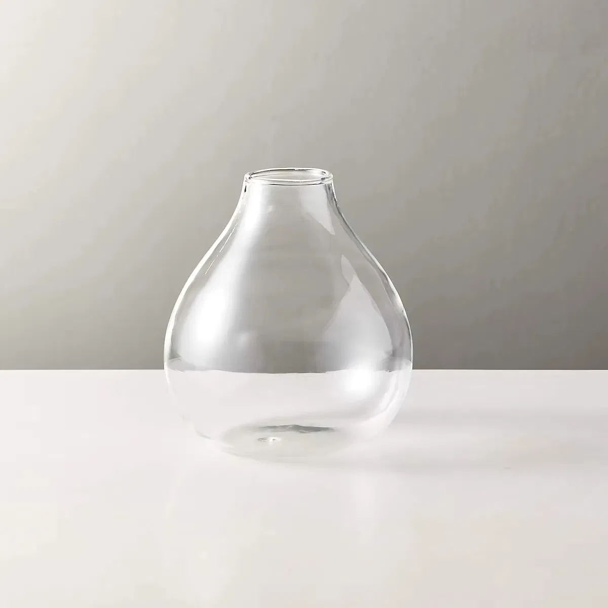 Transparent Large Glass Vase/ Flower in Different Container/ Home Decorations