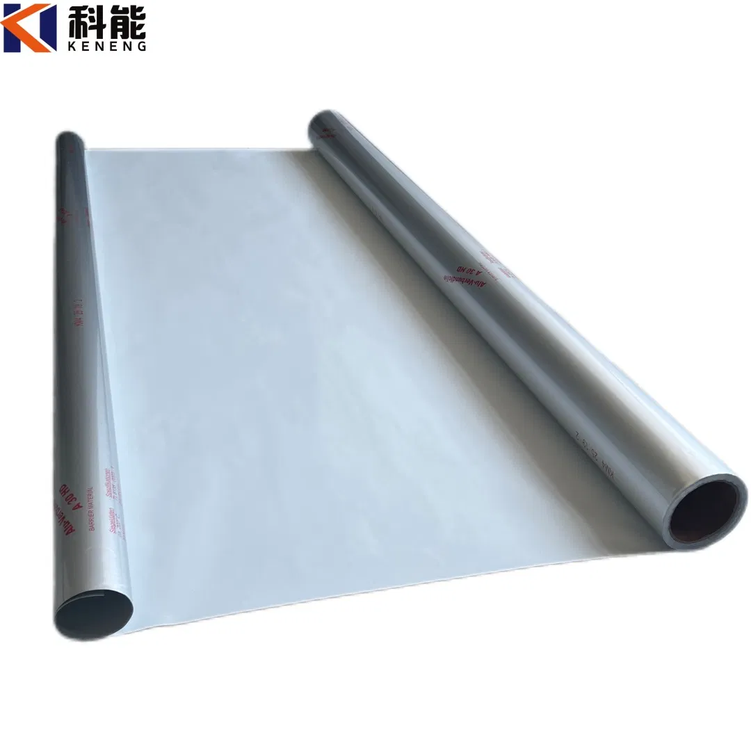 Biodegradable Additive-Based Pet/Al/CPP Film for Agricultural Seed Moisture-Proof Packaging