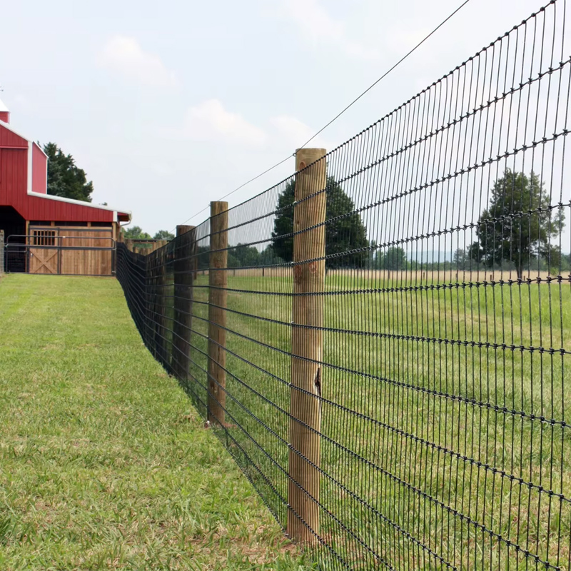 Galvanized Livestock Wire Fence Field Fence Netting for Farm