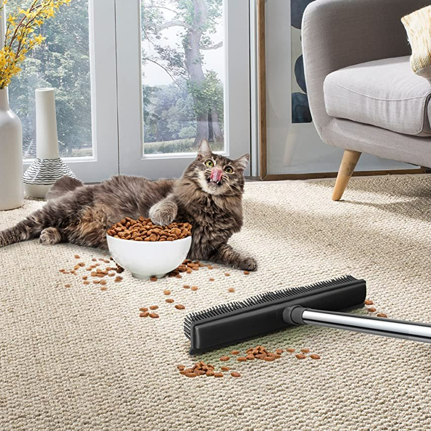 Water Resistant Long Handle Rubber Broom for Pet Cat Dog Hair Carpet