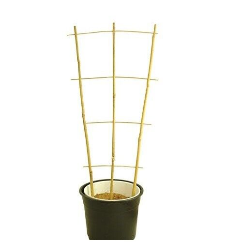 Bamboo Cane Plant Pot Trellis Fan Garden Flower Support Frame