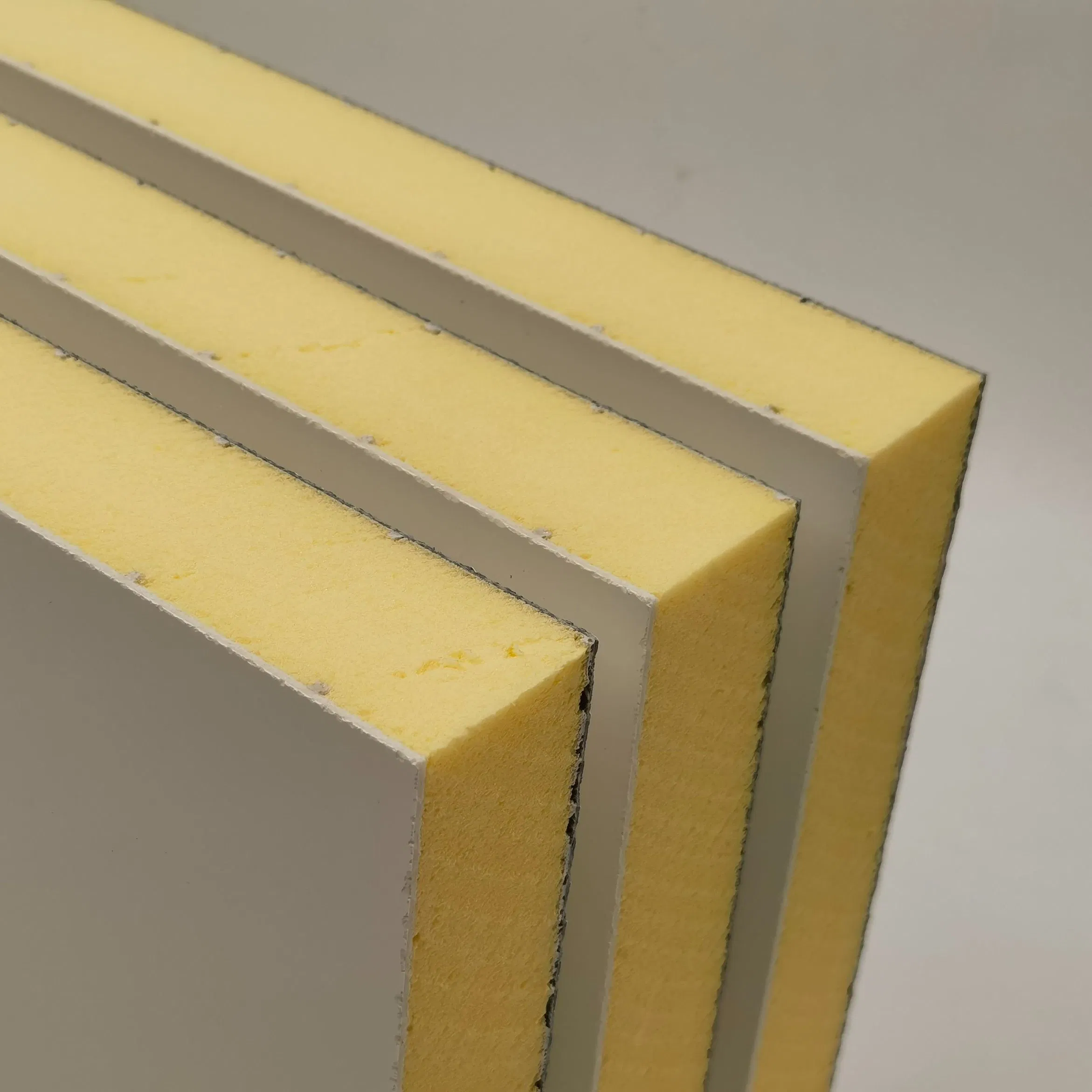 Thermal Insulation Foam Board FRP XPS Foam Core Panel for Cold Storage