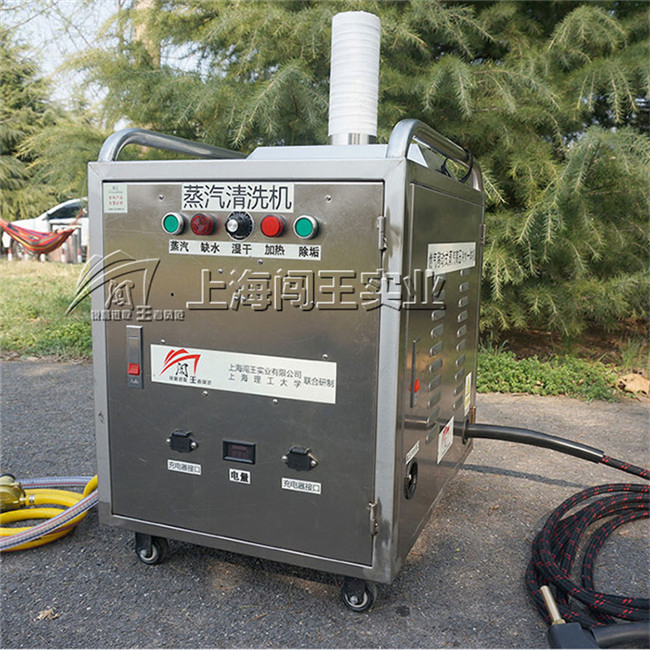 Car Engine Caebon Cleaning Machine High Pressure Car Washer for Engine