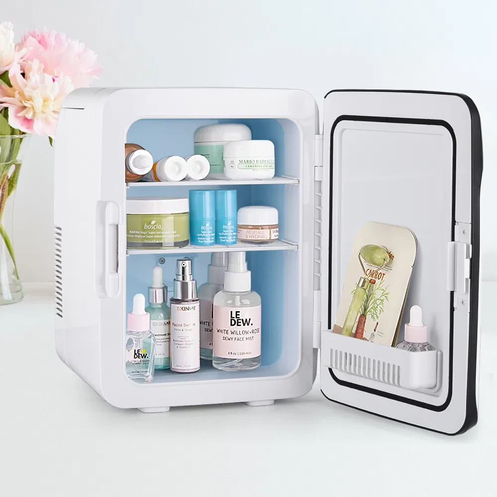 OEM 10L Beauty Small Refrigerators for Home and Car Gbf-10L1