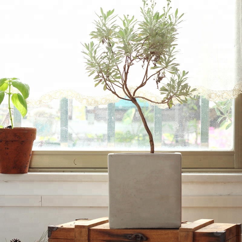 Горшок бетонный квадратный Зеленый сад