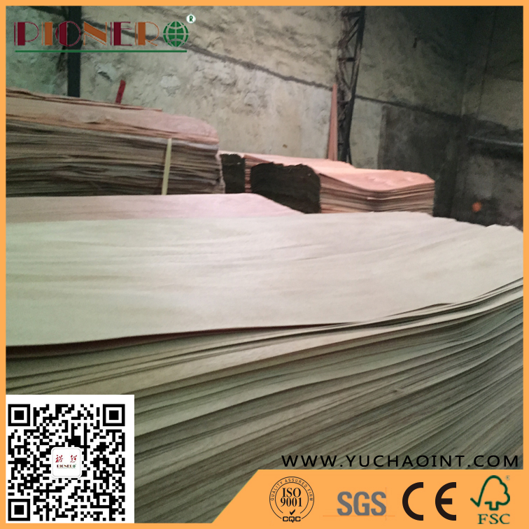 A Grade Rotary Cut Natural Gurjan/Keruing Veneer for India Market