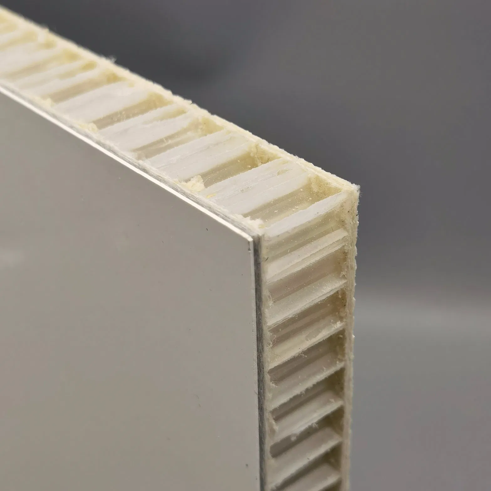 High-Strength FRP Plastic Honeycomb Panels for Construction