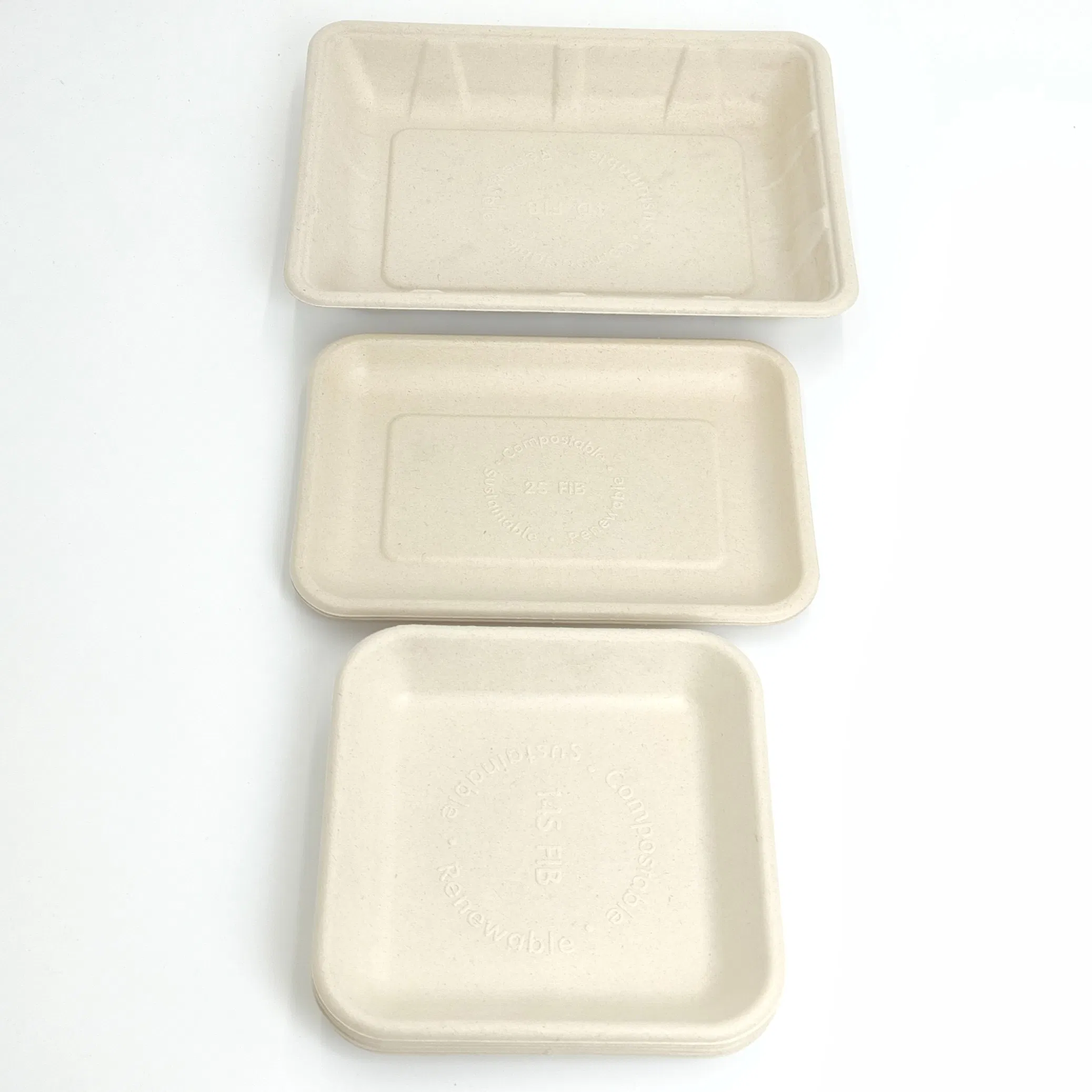Disposable Biodegradable Compostable Sugarcane Bagasse Tableware Vegetable Fruit Trays