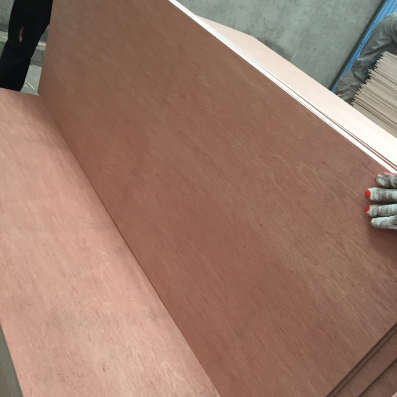 Premium Commercial Plywood at Unbeatable Prices for Wholesale Buyers
