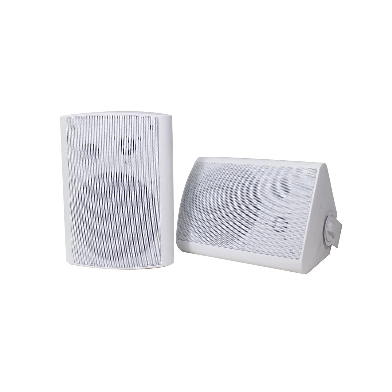 Waterproof Bluetooth 2-Way 30W Wall Mount Speaker Mini 2*30W Outdoor Speaker with 24VDC Power Adapter for Home Use