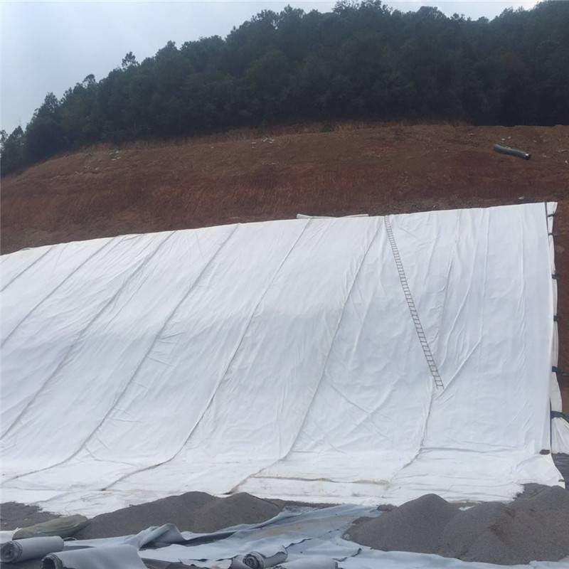 Erosion Control Non Woven Price PP Nonwoven Geotextile Fabric Geotextile Fabric for Retaining Wall and Slope Reinforcement