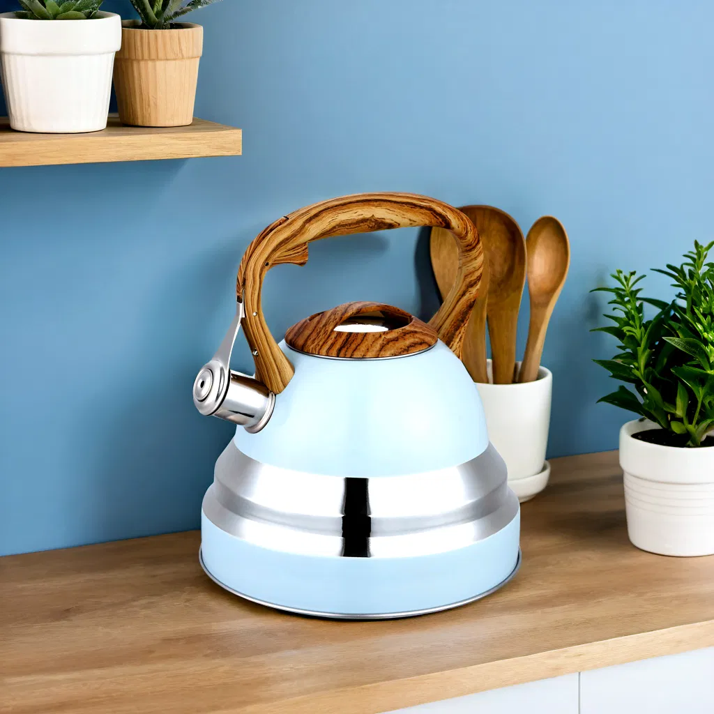 Color Painting Large Capacity 2.5L Whistling Pot Stainless Steel Teapot Water Kettle