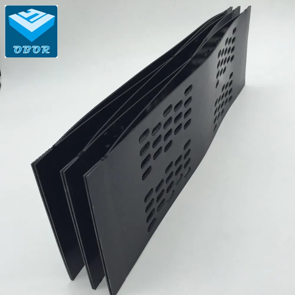 100mm 200mm ASTM Geocell Cellular Confinement Systems