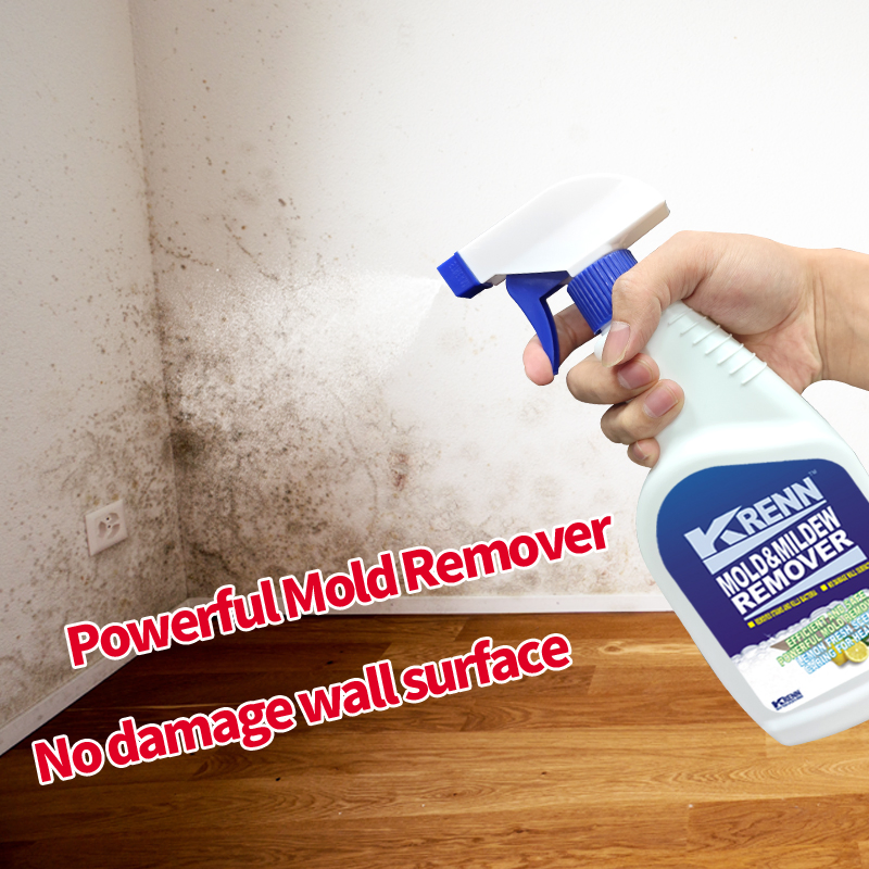 High Quality Household Chemical Products Wall Mould Remover Mildew Stain Cleaner Remover Anti-Mildew Spray