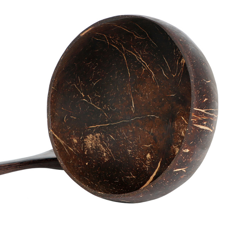 Natural Coconut Shell Fruits Salad Storage Engrave Wooden Coconut Shell Coconut Shell Bowl