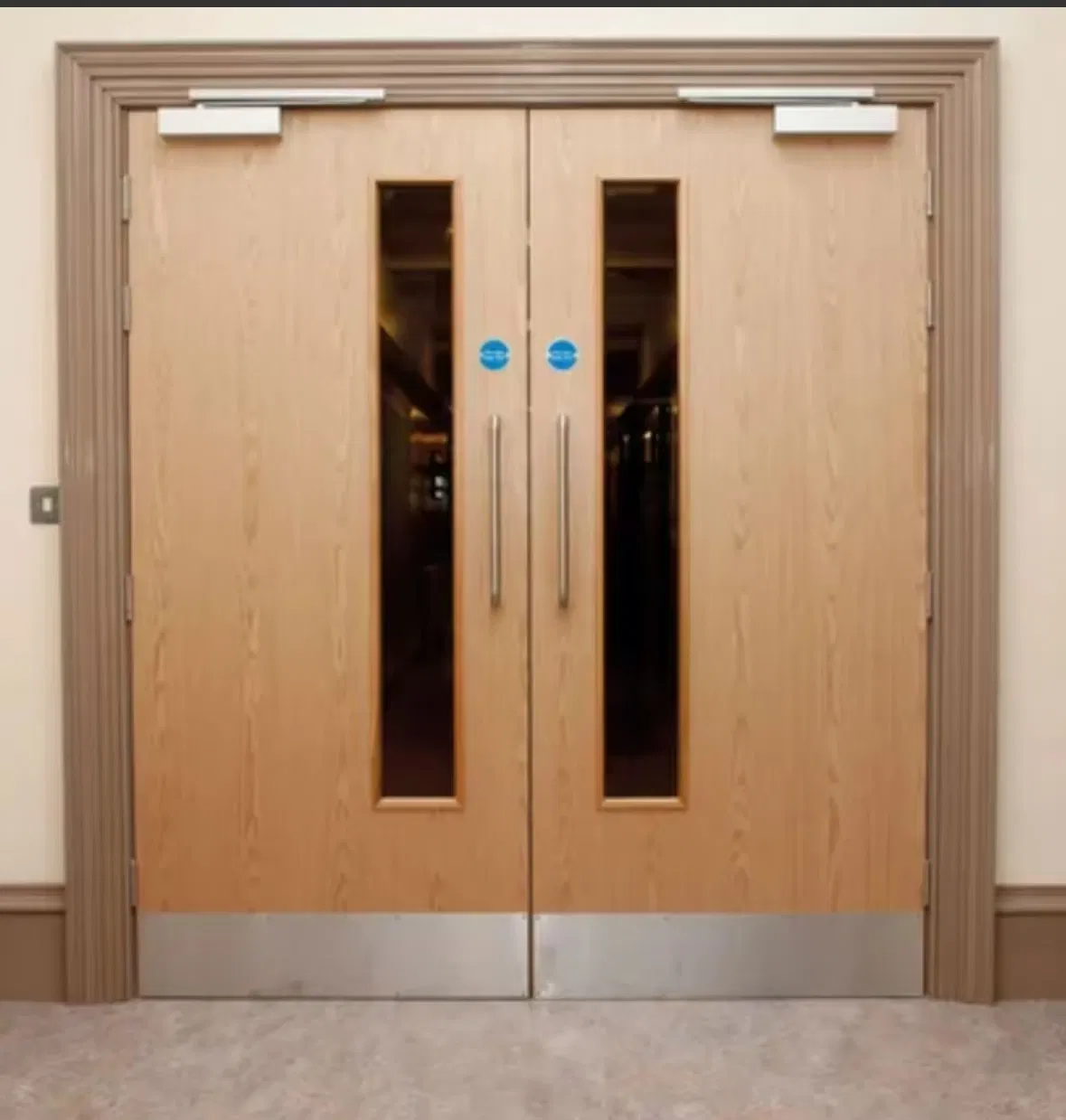 High-Quality Residential Fire Rated Door with 30-120 Minute Fire Protection