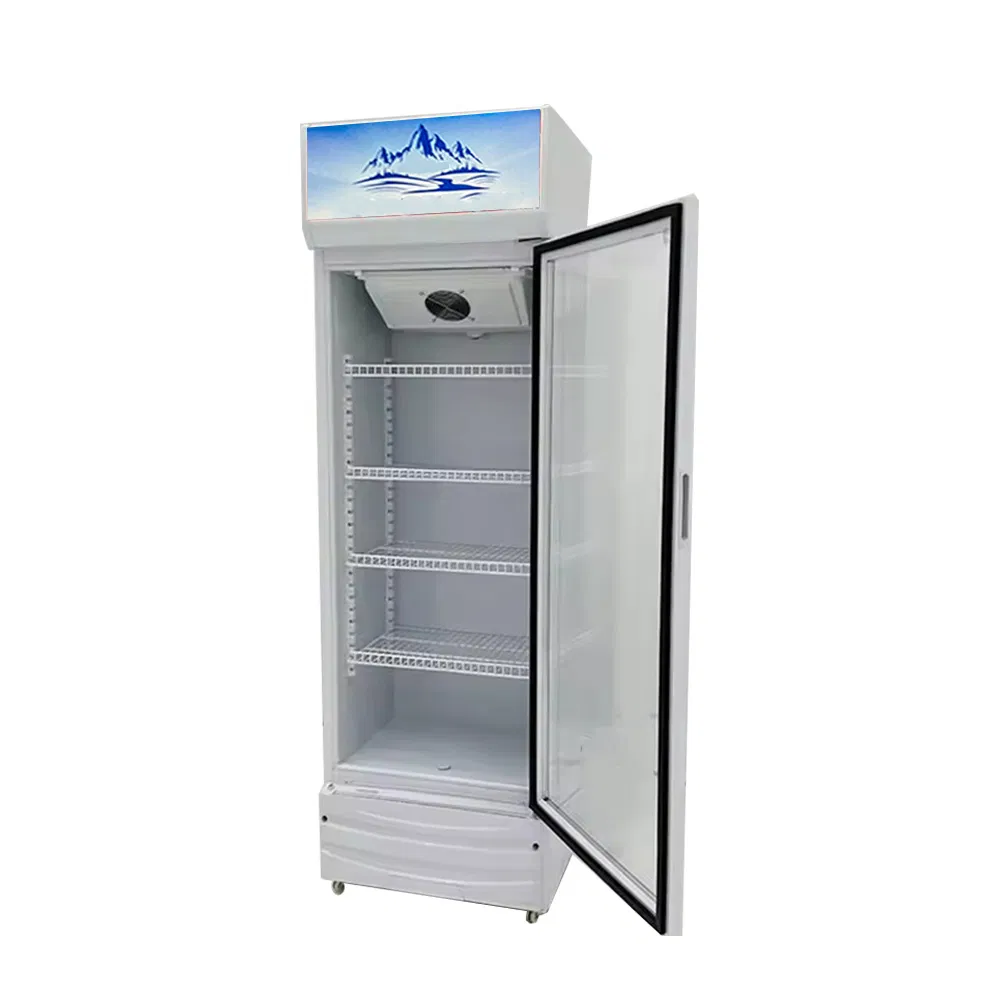 Single Door Commercial Glass Display Showcase Drink Coolers Upright Fridge for Sale
