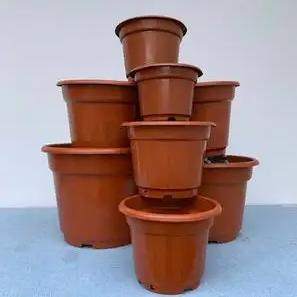 Flower Pots