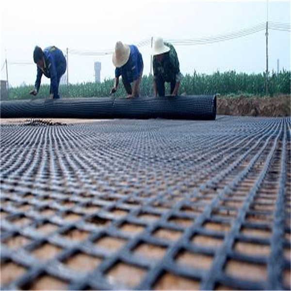 Road Reinforcement Polyester Geogrid Pet Geogrid