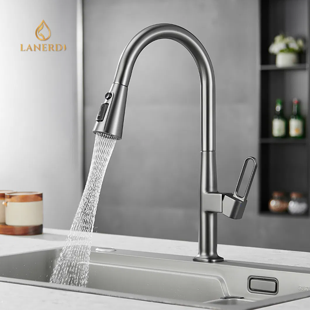 Гибкий шланг для кухонного смесителя Premium Brass